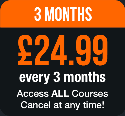 Video Course Subscription - 3 Months