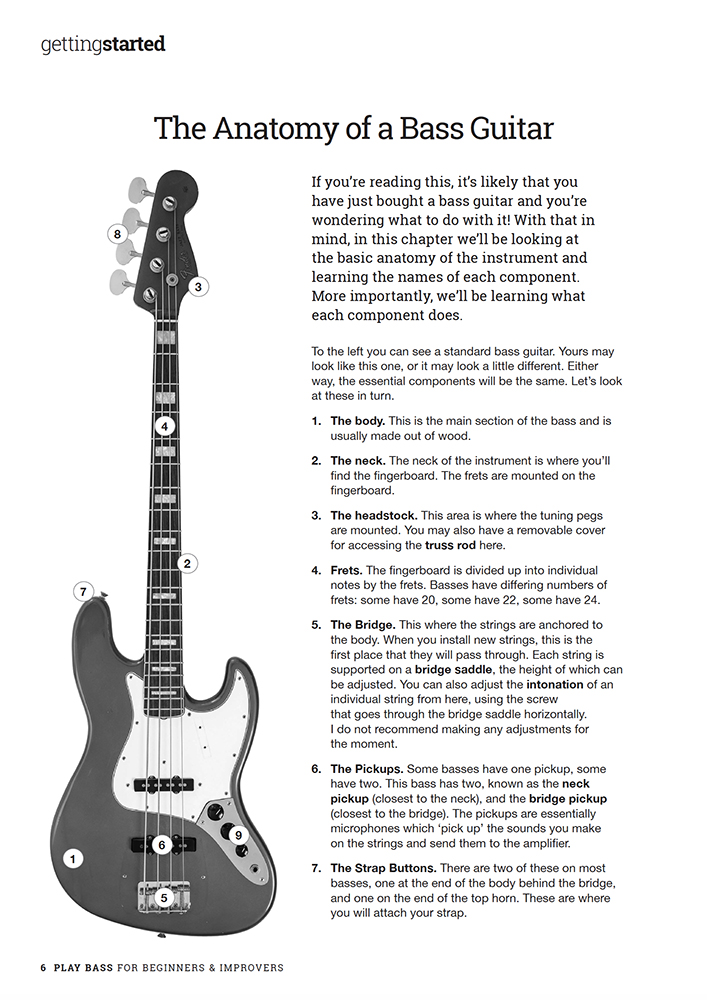 30 Beginner Bass Grooves - Bass Lessons - Andy Irvine - TrueFire