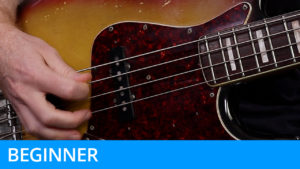 Beginner Level - Plectrum Technique