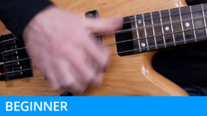 Beginner Level - Slap Bass