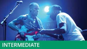 Giants of Bass - Tim Commerford