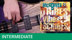 Incognito - 'Colibri' Bass Tutorial