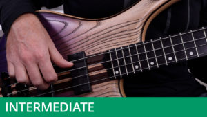 Intermediate Level - Chordal Fingerstyle Study