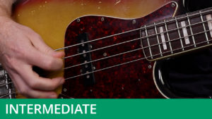 Intermediate Level - Plectrum Technique