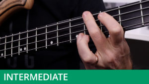 Intermediate Level - Tenths Study