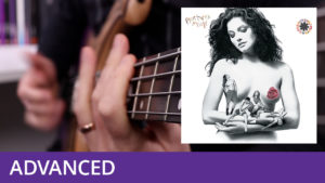 Red Hot Chili Peppers - 'Stone Cold Bush' Bass Tutorial