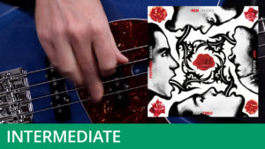 RHCP - Mellowship Slinky WEBSITE Thumbnail