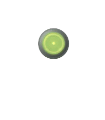SMT